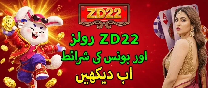 ZD22 Game-Bonus image